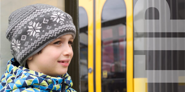 TDV HUB-SF-TIP-3 School Bus Safety-Feature Image